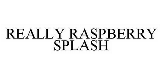 REALLY RASPBERRY SPLASH