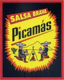 SALSA BRAVA PICAMÁS