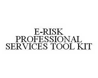 E-RISK PROFESSIONAL SERVICES TOOL KIT