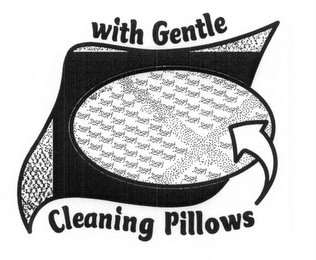 WITH GENTLE CLEANING PILLOWS