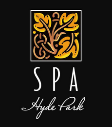 SPA HYDE PARK