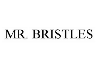 MR. BRISTLES