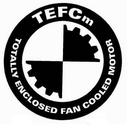 TEFCM TOTALLY ENCLOSED FAN COOLED MOTOR