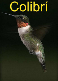 COLIBRÍ