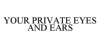 YOUR PRIVATE EYES AND EARS