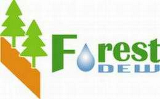FOREST DEW