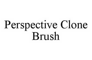 PERSPECTIVE CLONE BRUSH