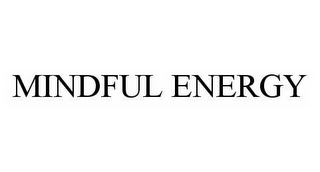 MINDFUL ENERGY