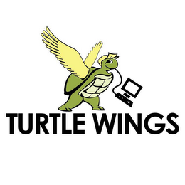 TURTLE WINGS