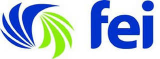 FEI FINANCIAL EXECUTIVES INTERNATIONAL