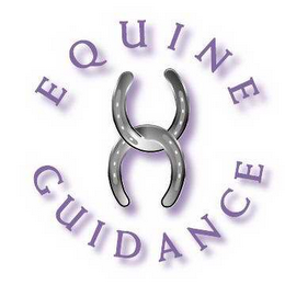 EQUINE GUIDANCE