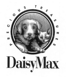 DAISYMAX PRECIOUS TREASURES