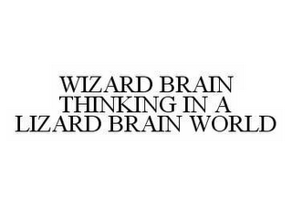 WIZARD BRAIN THINKING IN A LIZARD BRAIN WORLD