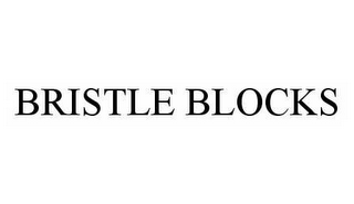 BRISTLE BLOCKS