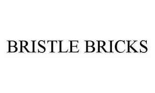 BRISTLE BRICKS