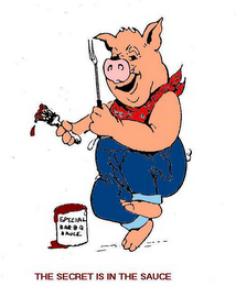 SPECIAL BAR-B-Q SAUCE THE SECRET IS IN THE SAUCE