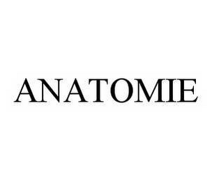 ANATOMIE