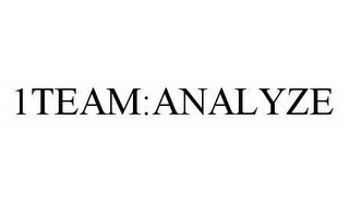 1TEAM:ANALYZE