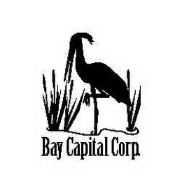 BAY CAPITAL CORP.