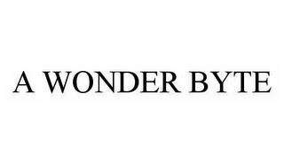 A WONDER BYTE