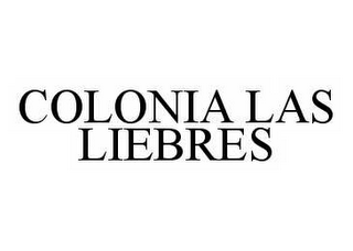 COLONIA LAS LIEBRES