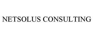 NETSOLUS CONSULTING