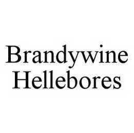 BRANDYWINE HELLEBORES