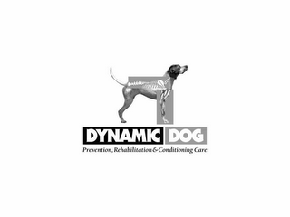 DYNAMIC DOG PREVENTION, REHABILITATION & CONDITIONING CARE