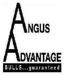 ANGUS ADVANTAGE BULLS...GUARANTEED