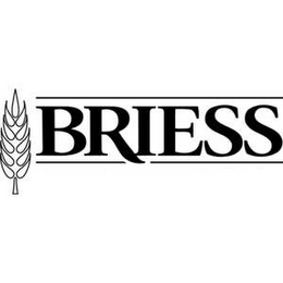 BRIESS