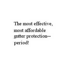 THE MOST EFFECTIVE, MOST AFFORDABLE GUTTER PROTECTION--PERIOD!