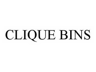 CLIQUE BINS