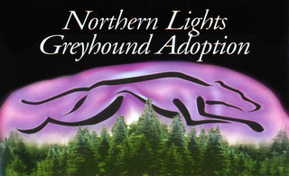 NORTHERN LIGHTS GREYHOUND ADOPTION
