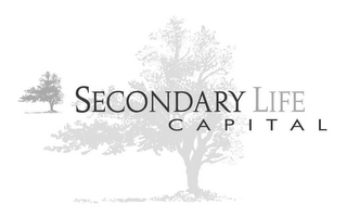 SECONDARY LIFE CAPITAL