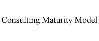 CONSULTING MATURITY MODEL