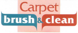 CARPET BRUSH & CLEAN