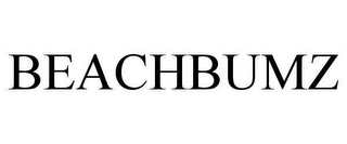 BEACHBUMZ