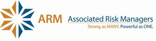 ARM ASSOCIATED RISK MANAGERS STRONG AS MANY. POWERFUL AS ONE.