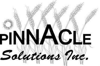 PINNACLE SOLUTIONS INC.