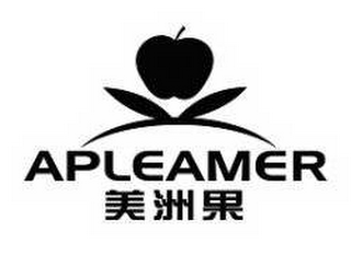 APLEAMER