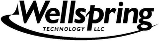 WELLSPRING TECHNOLOGY LLC