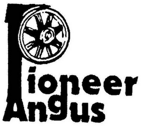 PIONEER ANGUS