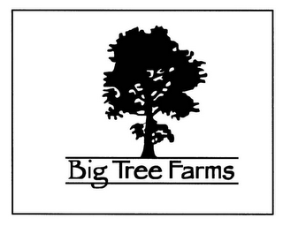 BIG TREE FARMS