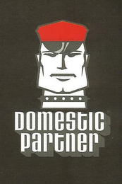 DOMESTIC PARTNER