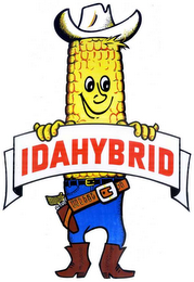 IDAHYBRID