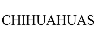 CHIHUAHUAS