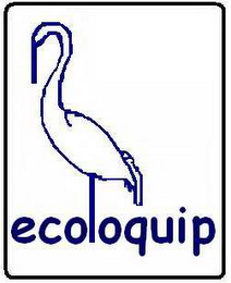 ECOLOQUIP