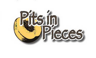 PITS IN PIECES