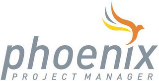 PHOENIX PROJECT MANAGER