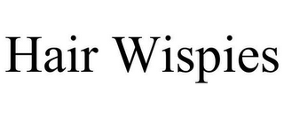 HAIR WISPIES